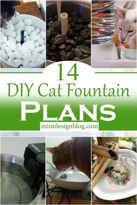 DIY Cat Fountain Plans Cat Water Bowl, Diy Water Fountain, Cat Fountain, Cat Proofing, Diy Fountain, Indoor Water Fountains, Diy Bowl, Cat Playground, Dog Water Bowls