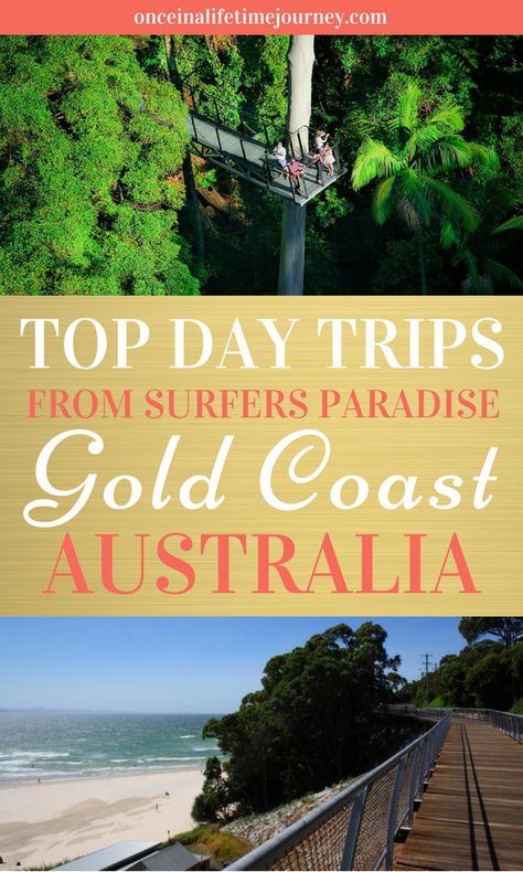 The Gold Coast of Australia is full of fun activities and attractions for tourists, making it one of the top holiday spots in Australia. This exciting region is also privileged to be surrounded by incredible natural beauty. If you’re on the Gold Coast for an extended stay, taking a few day trips out to these attractions is a must. Click through to see my picks of the top day trips from Surfers Paradise on Australia's Gold Coast. | Once in a Lifetime Journey #goldcoast #surfersparadise #Australia Golden Coast Australia, Australia Travel Bucket Lists, Australia Trip, Australia Tourism, Golden Coast, Family Vacay, Australia Travel Guide, Australian Travel, Honeymoon Ideas