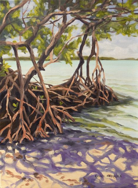 Mangrove Mangrove Forest Drawing, Mangroves Illustration, Mangrove Tree Drawing, Mangrove Painting, Mangrove Drawing, Mangrove Illustration, Mangrove Art, Bird Painting Acrylic, Forest Drawing