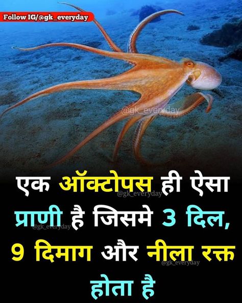 Interesting Facts About World In Hindi, Amazing Science Facts In Hindi, Facts About World, Facts About Life, अंग्रेजी व्याकरण, Science Facts Mind Blown, Rinku Singh, Youtube Facts, Physiological Facts