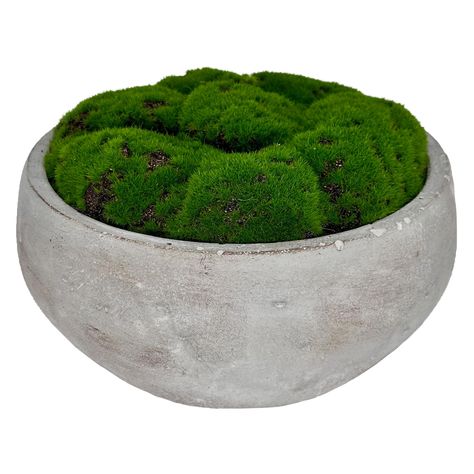 PRICES MAY VARY. Compact yet robust, this bowl boasts an impressive 8-inch diameter, 4.5-inch height, and a weight of just under 4 lbs. Replicates the lifelike texture and verdant tone of moss. Perfectly suited for coffee tables, dining tables, or an office desk. Placed in a hand-painted cement pot, adding a touch of luxury to the overall aesthetic. Presents a wonderful gift option for friends, neighbors, and coworkers. Demands no watering, guaranteeing simple and convenient upkeep. Elevate your Aesthetic Presents, Moss Bowl, Cement Pots, Apartment Balcony, Apartment Balcony Decorating, Apartment Balconies, Dining Tables, Coffee Tables, Home Décor