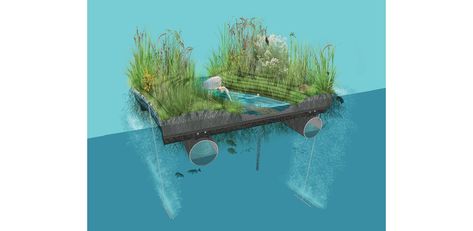 The floating wetland prototype combines the research of new technologies to test its sustainability, performance, and resiliency. Every square inch of… Landscape Diagram, Landscape Design Software, Wetland Park, Garden Pond Design, Conservation Of Natural Resources, Floating Garden, Urban Landscape Design, Floating Island, Marine Ecosystem