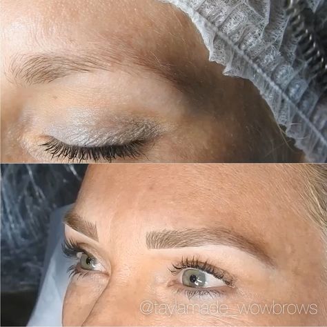 Hair Stroke Feather Touch Microblading Microstroke Tattooed Eyebrows natural brow tattooing feathering melbourne Instagram: @taylamade_wowbrows Tattooed Eyebrows, Tattoo Brows, Eyebrows Natural, Microbladed Brows, Micro Blading, Feather Touch, Brow Tattoo, Eye Brows, Permanent Makeup Eyebrows