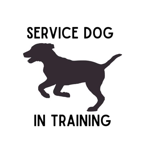 Service dog in training stickers for the best sdit and their handlers. This product is perfect for all the sdit handlers who are struggling with distractions from the public or who have prolems with public access. Service Dog Golden Retriever, Service Dog On Board Decal, Service Dog In Training Vest, Disney Service Dog Patches, Service Dog In Training, Service Dog In Training Patches, Dog Embroidery Designs, Dog Embroidery, Service Dog