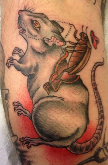 2 Headed Rat Tattoo, Roach Tattoo, Rat Traditional Tattoo, Hayley Tattoo, Rat Race Tattoo, Daredevil Tattoo, Rat Tattoo Creepy, Spooky Rat Tattoo, Small Chest Tattoos