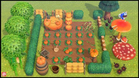 Pumpkin Farm Buy Items Animal Crossing Store ACNH | Nook Shop | Nookmart | Buy ACNH Items Animal Crossing Splatoon Clothes, Apparel Store Acnh, Nook's Cranny Ideas Acnh, Acnh Villager House Layout Ideas, Acnh Carpet Designs, Acnh Garden Layout, Acnh Flower Gardens, Acnh Gyroid, Acnh Farm Ideas