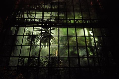 Greenhouse at night Dark Green Academia, Corpse Flower, Victorian Greenhouse, Green Academia, Oc Aesthetic, Green Vibes, Chrysanthemum Tattoo, Gothic Cathedral, Tove Jansson