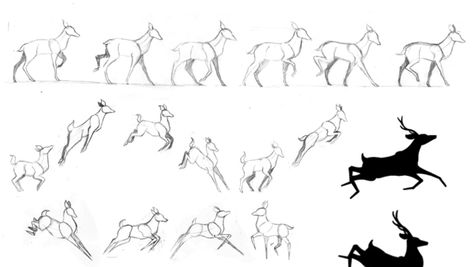 Walk Cycle, Animal Movement, Deer Drawing, Deer Running, Some Drawings, Some Sketches, Animation Sketches, Deer Art, Animal Anatomy