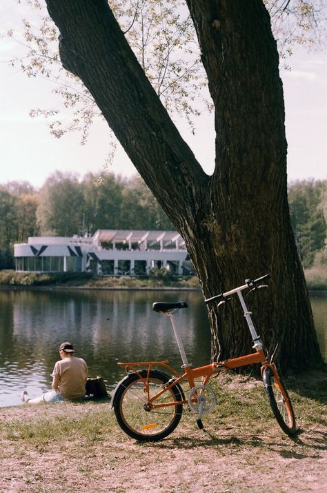 Lake, bike, picnic, summer Minolta X700 Photography, Minolta Srt 101, Minolta X700, 35mm Film, Film Photography, Branding, In This Moment, Film, Photography