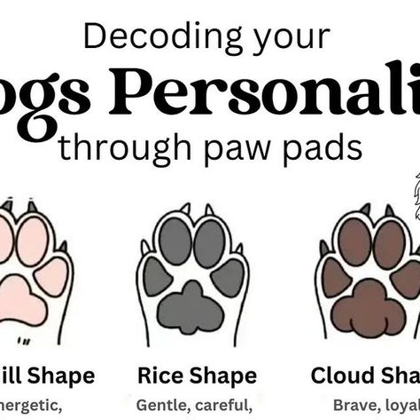 Matthews Legacy Farm | Goldendoodle Breeder on Instagram: "🐾 Did you ever think your dog’s paw pads held the secrets to their personality? ✨ What shape does your dog have? 🐶   #pawprint #goldendoodle #matthewslegacyfarm #pawpadgoldendoodles" Dog Paw Pads, Paw Pad, Goldendoodle Breeders, Golden Doodle Dog, Shape Meaning, Dog Personality, Dog Pads, Goldendoodle Puppy, Paw Pads