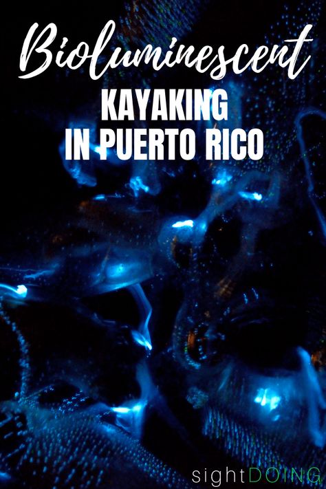 What if you could go kayaking in a bay full of glow in the dark sealife?  The bioluminescent bays of Puerto Rico (better known as "biobay") are spectacular, dazzling nighttime shows under the starry sky.  Hop into a glass-bottom kayak and paddle into the bay to see the water illuminate around you while fish dart like fiery comets underneath.  Learn more about this natural phenomenon that occurs in 3 Puerto Rican areas (including Vieques and Fajardo) and start your bucket lists today! #PuertoRico Bioluminescent Bay, El Yunque National Forest, Puerto Rico Trip, Puerto Rico Vacation, Kayak Tours, Fajardo, Caribbean Travel, Bucket Lists, Caribbean Islands