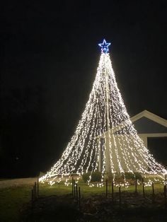 Flag Pole Mega Tree: 7 Steps (with Pictures) Flagpole Christmas Tree, Diy Flag, Outdoor Christmas Tree, Black Christmas Trees, Christmas Decorations Diy Outdoor, Navidad Diy, Christmas Yard, Halloween Displays, Outdoor Christmas Lights