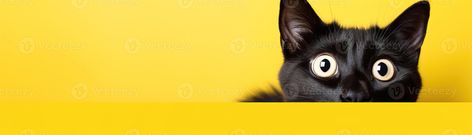 AI generated Captivating black cat against bold yellow background, perfect for eye-catching advertisements, special promotions, or creative projects. Copy space for text. Panoramic banner. Youtube Banner, Youtube Banners, Cute Wallpaper For Phone, Logo Banners, Cityscape Photos, Special Promotion, Nature Backgrounds, Background Banner, Yellow Background