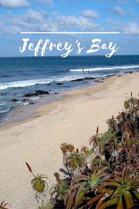 We have loved Jeffreys bay ( Jbay) for the longest time; here’s a few things we suggest you try when visiting this gem of a seaside town in South Africa. Jeffreys Bay South Africa, Jeffreys Bay, Safari Photography, Africa Travel Guide, Knysna, African Travel, Africa Destinations, Africa Do Sul, South Africa Travel