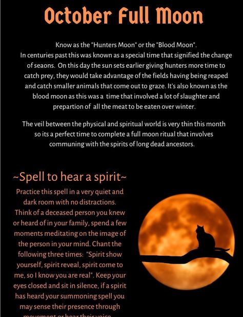 Hunters Full Moon Ritual, Hunter Moon Ritual, Hunters Moon Ritual, October Full Moon, Charmed Book Of Shadows, Moon Spells, Moon Rituals, Moon Ritual, New Moon Rituals