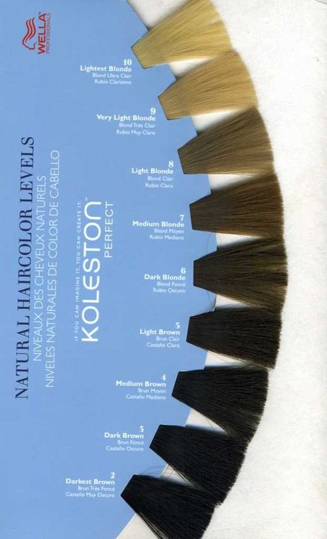 Natural Hair Color Levels | Presented by Wella Professionals Wella Hair Color Chart, Hair Color Levels, Level 6 Hair Color, Strands Hair, Face Framing Hair, Hair Levels, Types Of Hair Color, Wella Hair Color, Hair Foils