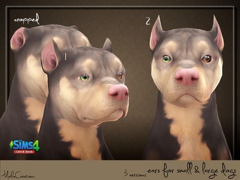 The Sims Resource: Dog Ears by MahoCreations • Sims 4 Downloads Around The Sims 4, Sims Pets, Small Poodle, Ts4 Mods, Dog Ears, Sims 4 Characters, Sims Four, Cat Whiskers, Sims 4 Update