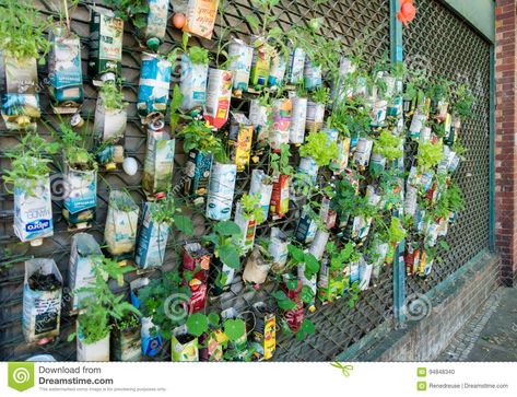 Gardening Background, Food Scarcity, Guerilla Gardening, City Editorial, Guerrilla Gardening, Urban Agriculture, Berlin City, School Garden, Pollinator Garden