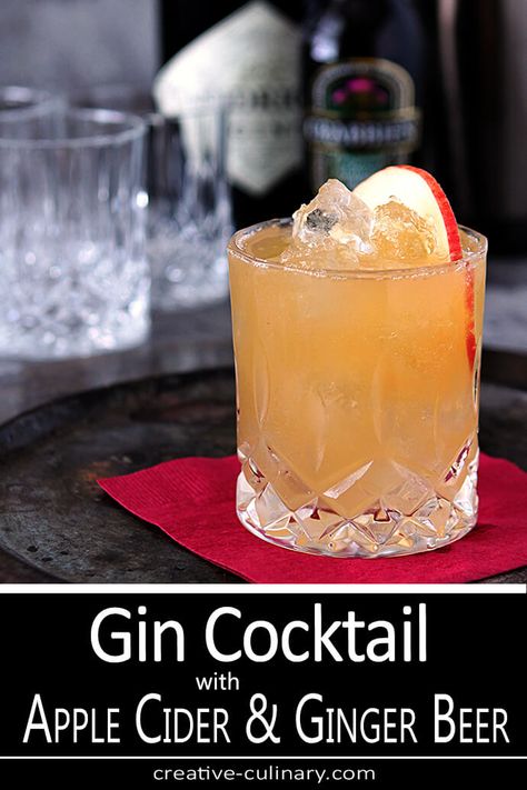 Gin, Apple Cider & Ginger Beer Cocktail Beer Cocktail Recipes, Ginger Beer Cocktail, Beer Cocktail, Cider Cocktails, Gin Lemon, Hendricks Gin, Gin Drinks, Beer Cocktails, Bourbon Cocktails