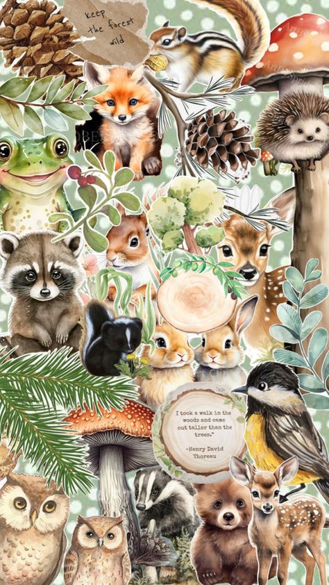 Woodland /forest animals Forest Animals Drawing, Forest With Animals, Forest Collage, Woodland Bedroom, Woodland Forest Animals, Drawing Collage, Animals Drawing, Collage Journal, Woodland Forest