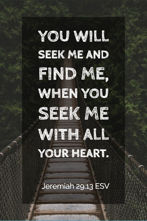 Jeremiah 29:13 "You will seek me and find me, when you seek me with all your heart." #DailyBibleVerse #SermonCentral Seek Me And You Will Find Me, You Will Seek Me And Find Me, You Will Find Me When You Seek Me, Jeremiah 29:11-14, Jeremiah 9:23-24, Jeremiah 17 7-8 Scriptures, Jeremiah 29 13, Bible Proverbs, Family Scripture