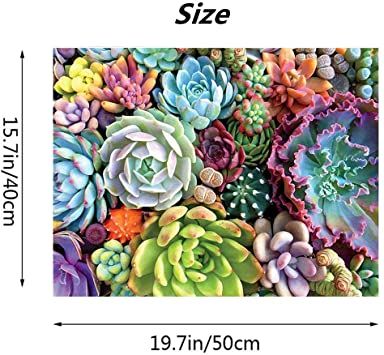 AmazonSmile: ACIOPPL Paint by Numbers for Adults Beginner Succulent DIY Acrylic Painting Kits Oil Paint by Numbers Succulent Plants on Canvas 16x20 inch Home Wall Decor Bedroom Arts Craft Gift Colorful Succulents Diy Diamond Art, Diy Wall Painting, Diamond Drawing, Colorful Succulents, Painting Accessories, Gems Art, Plant Pictures, Succulent Plants, Art Kits