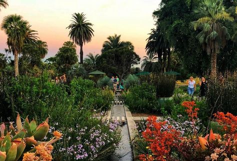 5 Gorgeous Botanical Gardens In L.A. To Wander Through This Spring - Secret Los Angeles Ancient Forest, Better Homes And Garden, Cactus Garden, Community Gardening, Botanical Garden, Japanese Garden, Days Out, Botany, Breathtaking Views