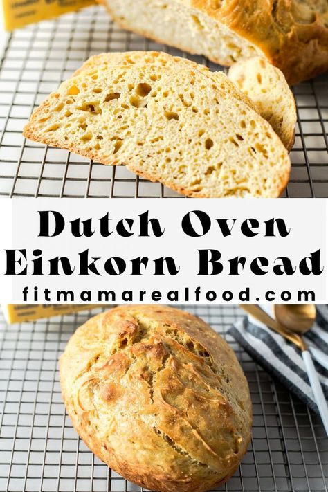 Crusty No Knead Einkorn Bread (Dutch Oven) – Fit Mama Real Food Bread In A Dutch Oven, Einkorn Bread, Einkorn Recipes, Simple Bread, Oven Bread, Dutch Oven Bread, Einkorn Flour, Knead Bread Recipe, Making Bread