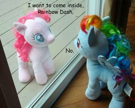 poor pinkie 😔 Mlp Funny, Mlp Memes, My Little Pony Comic, Pony Pictures, My Lil Pony, My Little Pony Drawing, My Little Pony Pictures, Mlp Pony, My Little Pony Characters