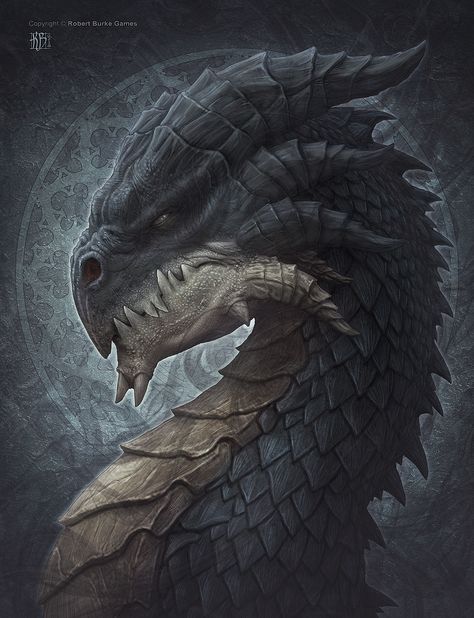 Draco Magi Dragons Kerem Beyit, Illustration Website, Dragon Turtle, Illustration Example, Fashion Abstract, Shadow Dragon, Illustration Styles, Dragon Sketch, Beautiful Dragon