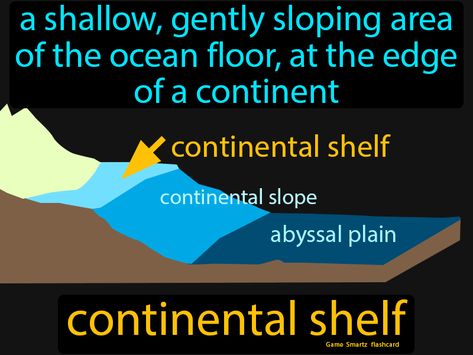 Continental Shelf definition: A shallow, gently sloping area of the ocean floor, at the edge of a continent. Ocean Trench, Continental Shelf, Rip Current, Ocean Current, 6th Grade Science, Ocean Floor, Easy Science, Earth Science, 6th Grade