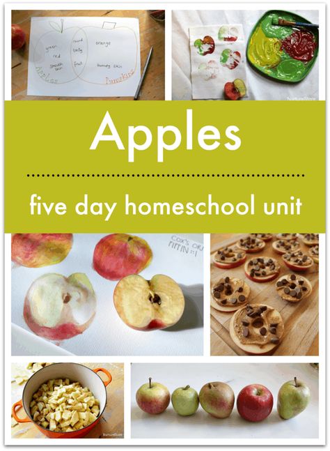 Free Apple Unit Study, Apples Unit 2nd Grade, Preschool Goals, Preschool Apple Unit, Apple Lesson Plans, Apple Unit Study, Apple Kindergarten, School Works, Weekly Themes