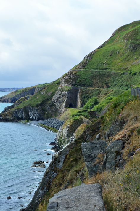 Ben Nevis, Visit Ireland, The Walk, The Trail, The Coast, Picture Ideas, My Family, Walk In, Rocky