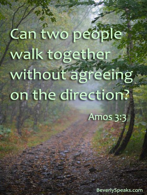 Can two people walk together without agreeing on the direction? People Who Cross Your Path Life, How Can Two Walk Together Unless They Agree, Can Two Walk Together Unless They Agree, We Are All Just Walking Each Other Home, People Who Use Others As Stepping Stones, Walk Gently In The Lives Of Others, Taking Dog For A Walk, Walk Together, Bible Love