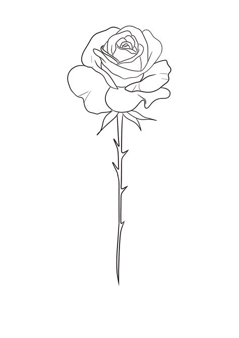 Flower Tattoo Stencils, Rose Tattoo Stencil, Plant Drawings, Flower Stencils, Rose Flower Tattoos, Army Tattoos, Fineline Tattoo, Tattoo Reference, Lion Tattoo Design