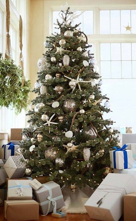 30 Brilliant coastal chic Christmas tree decorating ideas Beachy Christmas Tree, Elegant Christmas Tree Decorations, Christmas Tree Decorations Ideas, Types Of Christmas Trees, Christmas Tree Decor Ideas, Tree Decor Ideas, Coastal Christmas Tree, Summer Tree, Tree Decorations Ideas