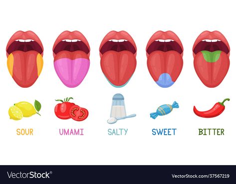 Tongue Illustration, Human Tongue, English Activity, Stem Camp, Preschool Stem, Cartoon Human, Tongue Health, Campervan Life, Nail Care Tips