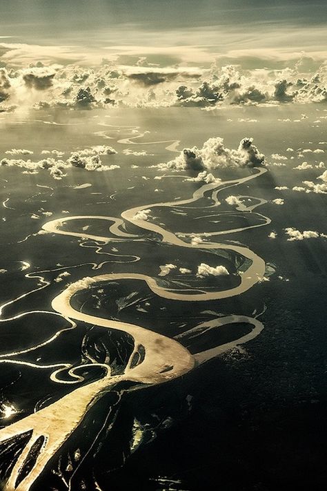 tect0nic:  Amazonas by Jose Ignacio Teran via 500px. Amazon River, Natural Phenomena, Birds Eye View, Aerial Photography, Birds Eye, The Amazon, Aerial View, Amazing Nature, Natural Wonders