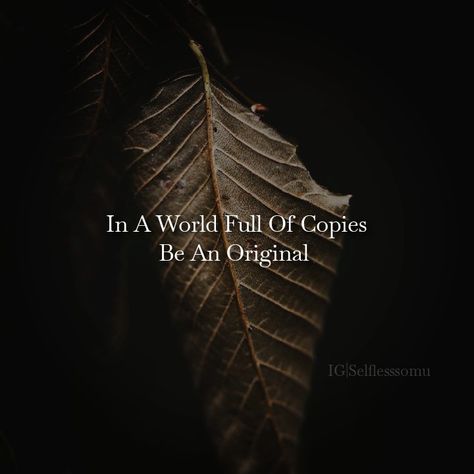 In A World Full Of Copies, Be An Original In A World Full Of Quotes, Mindset Therapy, Marketing Case Study, English Love Quotes, Christian Bible Study, Christian Bible, Healing Quotes, In A World, Financial Freedom