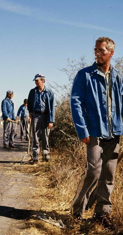 Cool Hand Luke (1967) photos, including production stills, premiere photos and other event photos, publicity photos, behind-the-scenes, and more. Cool Hand Luke, San Quentin, Paul Newman, Mens Outfit Inspiration, Jake Gyllenhaal, Tv Programmes, Film Director, Classic Movies, Most Beautiful Man