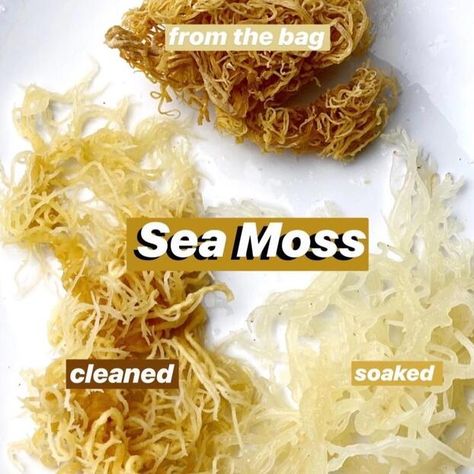 Irish Sea Moss - Naturals Are Us Irish Sea Moss, Sea Moss Gel, Irish Moss, Irish Sea, Alkaline Foods, Sea Moss, Skin Food, Improve Digestion, Food Poster