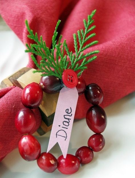 Thanksgiving Placecard Ideas, Diy Place Cards Thanksgiving, Thanksgiving Placecard, Cranberry Wreath, Place Cards Thanksgiving, Place Setting Ideas, Diy Name Tags, Cranberry Thanksgiving, Diy Place Cards