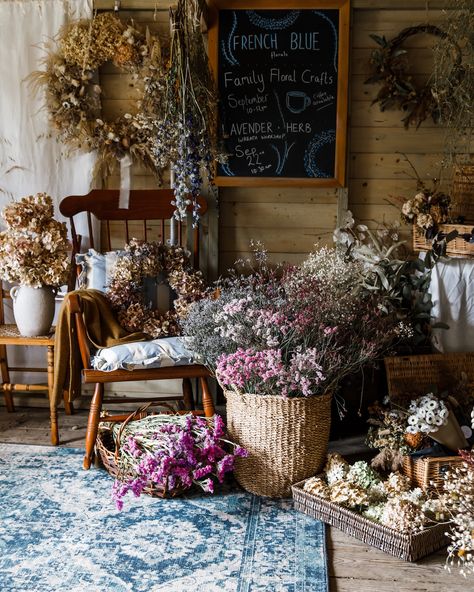 Dried Flowers Aesthetic, Dried Floral Arrangements, Flower Shop Interiors, Drying Flowers, Dried Florals, Flower Store, Dried Bouquet, Vintage Bath, Flower Studio