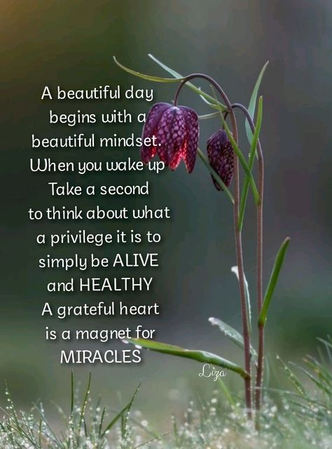 Wake up each day with a grateful heart Wake Up Everyday With A Grateful Heart, Begin Each Day With A Grateful Heart, Happy Affirmations, Wake Up Quotes, Grateful Quotes, Gods Love Quotes, Popular Quotes, A Miracle, Grateful Heart