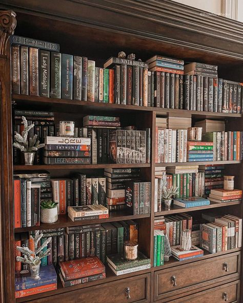 Bookshelf Organization Ideas Aesthetic, Room Bookshelf Aesthetic, Book Shelf Organization Ideas, Bookshelf Organization Aesthetic, Bookshelves Organization, Aesthetic Bookshelf Ideas, Bookshelf Organization Ideas, Bookstagram Bookshelves, Cool Bookshelf