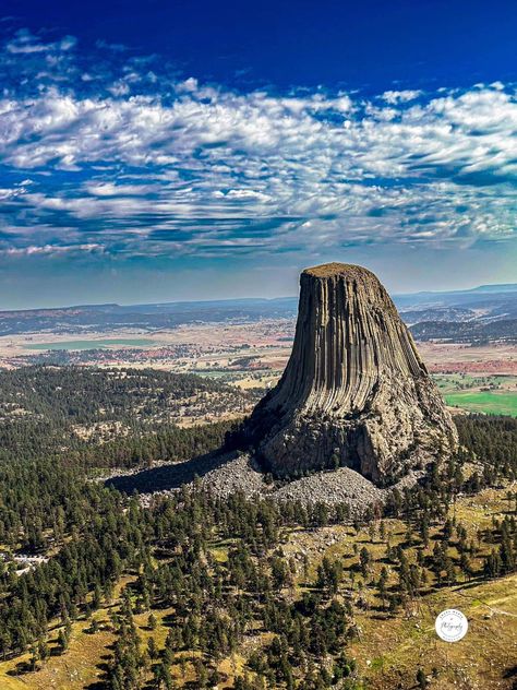 Devils Tower Wyoming, Devils Tower National Monument, Devils Tower, Surreal Photos, Image Nature, Ancient Forest, Ancient Tree, Unique Trees, Ancient Aliens