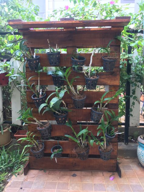 Orchid House Ideas, Orchid House, Orchid Collection, Australian Garden, Wooden Pallets, Perfect Home, Growing Plants, Garden Projects, Diy Garden