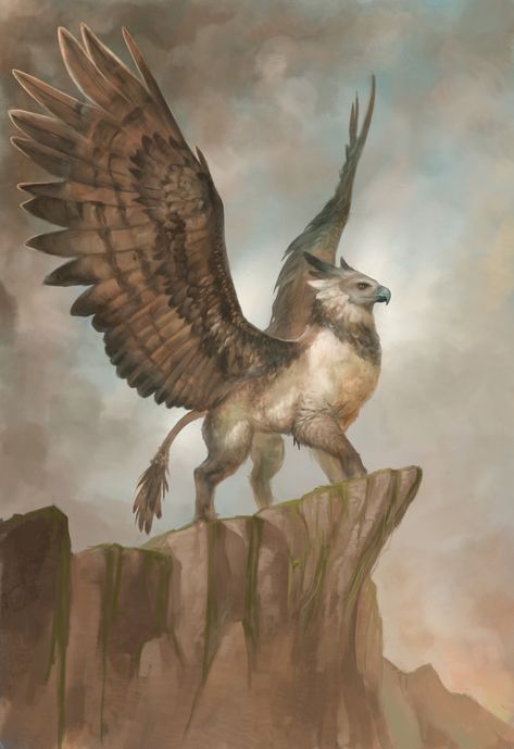 Mythical Creatures Art Mythology, Dnd Griffon, Fourth Wing Gryphons, Gryphon Aesthetic, Griffon Aesthetic, Griffin Mythology, Griffon Art, Griffin Aesthetic, Griffins Art