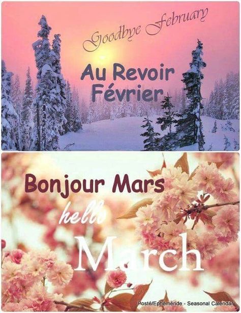 Bonjour Mars, Good Day Wishes, Day Wishes, Good Day, Mars, Thinking Of You, Gif, Pastel, Memes