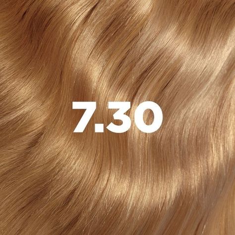 Level 7 Honey Blonde, 8g Blonde Hair, Dark Gold Hair Color, 7.3 Hair Color, Blondeish Redish Hair, Beeline Honey Hair Color, Beeline Honey Hair, Blonde Honey Hair, Medium Golden Blonde Hair